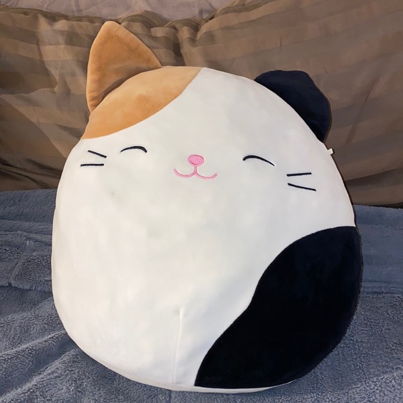 cam squishmallow